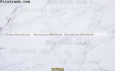 File tranh File vân đá cẩm thạch DCT2212 (ảnh gốc) in trần nhà