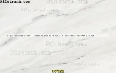 Mua file gốc File vân đá cẩm thạch DCT2222 (in ấn) tại Filetranh.com