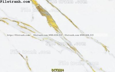 File in ấn File vân đá cẩm thạch DCT2224 (bản gốc) cao cấp