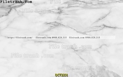 Ảnh gốc File vân đá cẩm thạch DCT2231 (siêu chi tiết) để in ấn