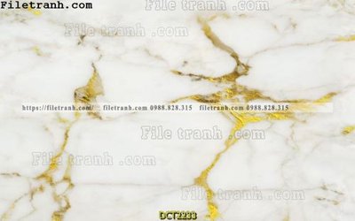 File tranh gốc File vân đá cẩm thạch DCT2233 (bản quyền) file PSD