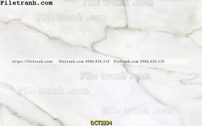 File PSD File vân đá cẩm thạch DCT2234 (gốc) cho in quảng cáo