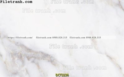 File tranh gốc File vân đá cẩm thạch DCT2236 (bản quyền) độc đáo