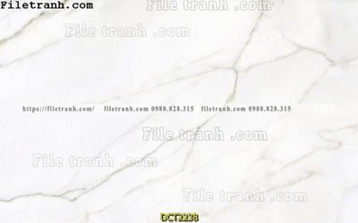 File in ấn File vân đá cẩm thạch DCT2238 chuyên nghiệp