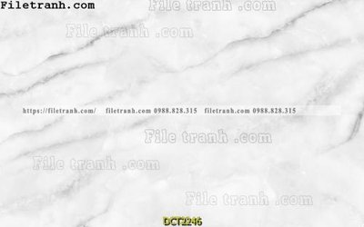 File tranh in trần 3D File vân đá cẩm thạch DCT2246 (ảnh gốc)