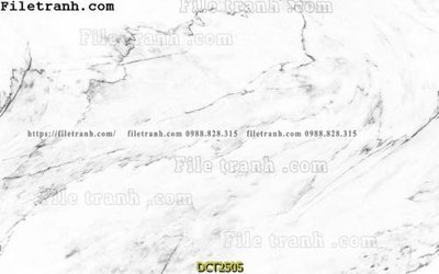 File gốc File vân đá cẩm thạch DCT2505 (dành cho trang trí nội thất)