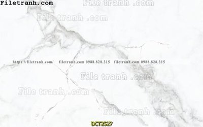 File tranh File vân đá cẩm thạch DCT2527 (bản gốc) treo quán cafe