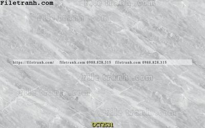File in ấn chuyên nghiệp File vân đá cẩm thạch DCT2531 (file gốc)
