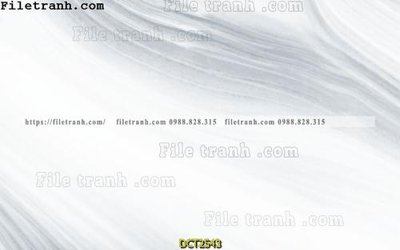 Tải file File vân đá cẩm thạch DCT2543 (gốc) làm file in ấn