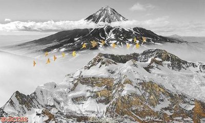 Mua file gốc File vân đá cẩm thạch DCT255 (chất lượng) tại Filetranh.com