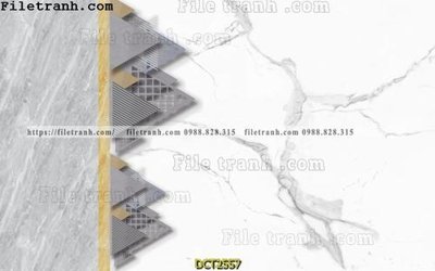 File in lụa File vân đá cẩm thạch DCT2557 (chất lượng cao) File vân đá cẩm thạch DCT2557
