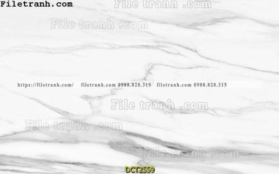 Tải file File vân đá cẩm thạch DCT2559 (gốc) làm file thiết kế