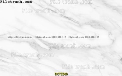 File in ấn File vân đá cẩm thạch DCT2560 (bản gốc) cao cấp