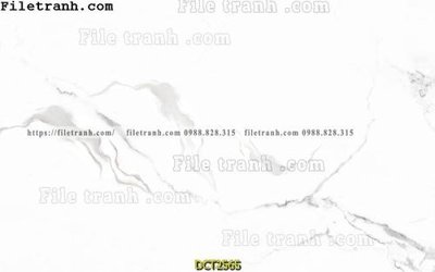 File tranh File vân đá cẩm thạch DCT2565 (gốc) chủ đề động vật