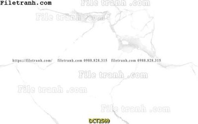 File ảnh File vân đá cẩm thạch DCT2569 (gốc) in backdrop sự kiện