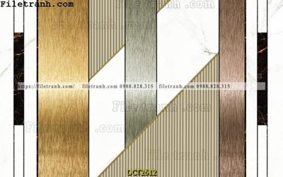 Tải file File vân đá cẩm thạch DCT2612 (gốc) làm file quảng cáo