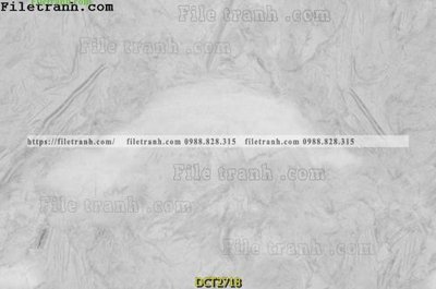 Tải file File vân đá cẩm thạch DCT2718 (gốc) làm file thiết kế