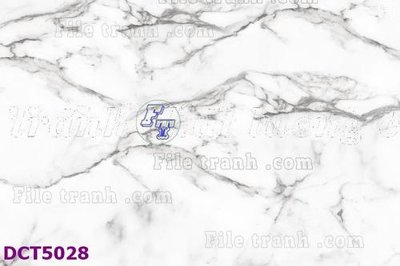 File gốc in ấn File gốc in tranh tổng hợp DCT5028 độ phân giải cao