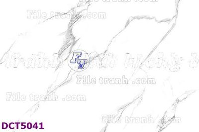 File in mica File gốc in tranh tổng hợp DCT5041 (bản gốc) làm vách ngăn