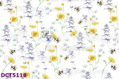 File in trần File gốc in tranh tổng hợp DCT5118 (bản gốc) trời sao