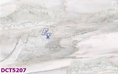 File in ấn File gốc in tranh tổng hợp DCT5207 chuyên nghiệp