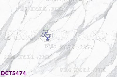 Ảnh gốc File gốc in tranh tổng hợp DCT5474 (độ nét cao) in tráng gương