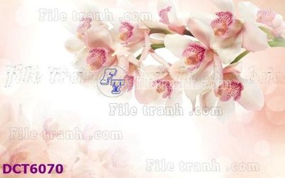 File in trần File gốc in tranh tổng hợp DCT6070 (bản gốc) đại dương