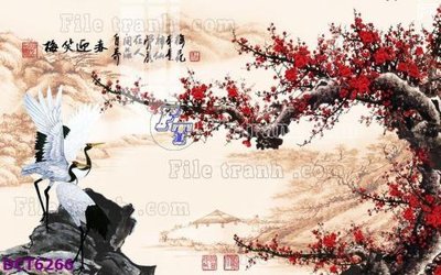 File in mica File gốc in nền tường vân đá cẩm thạch DCT6266 (bản gốc) sắc sảo