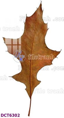 File in mica File gốc in nền tường vân đá cẩm thạch DCT6302 (bản gốc) làm vách ngăn