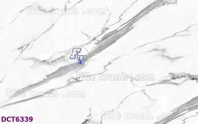 File tranh File gốc in nền tường vân đá cẩm thạch DCT6339 (gốc) chủ đề thành phố