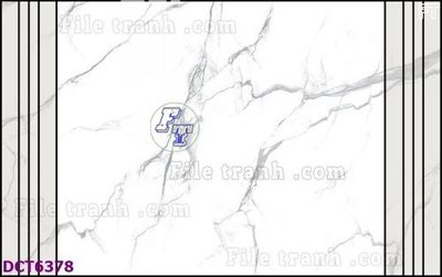 File in mica File gốc in nền tường vân đá cẩm thạch DCT6378 (bản gốc) siêu trong