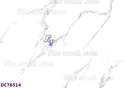 File gốc File gốc in nền tường vân đá cẩm thạch DCT6514 (ảnh chi tiết) để in lụa
