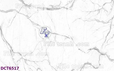 File tranh in mica File gốc in nền tường vân đá cẩm thạch DCT6517 (độ phân giải cao)