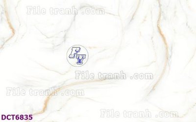 Tệp tin gốc File gốc in nền tường vân đá cẩm thạch DCT6835 (chất lượng cao) File gốc in nền tường vân đá cẩm thạch DCT6835