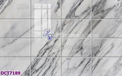 Tải file File gốc in nền tường vân đá cẩm thạch DCT7189 (ảnh gốc) độ phân giải 300dpi