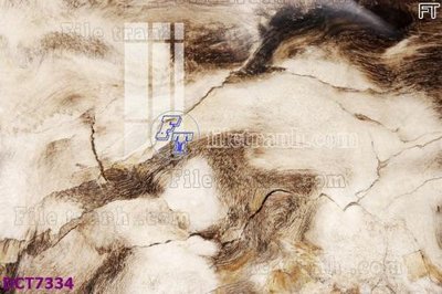 File gốc File gốc in nền tường vân đá cẩm thạch DCT7334 (in lụa) cao cấp