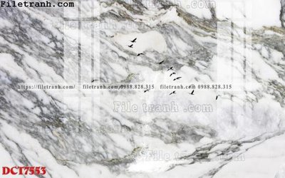 File gốc File in vân đá cẩm thạch DCT7553 (phong cách) cổ điển