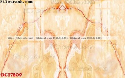 File in trần File in vân đá cẩm thạch DCT7809 (file gốc) xuyên sáng