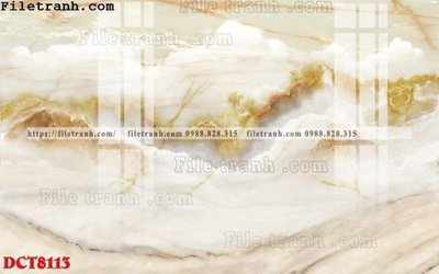 File in ấn chuyên nghiệp File in vân đá cẩm thạch DCT8113 (file gốc)