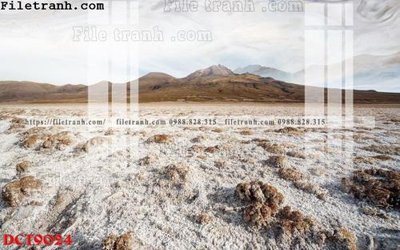 File tranh File in vân đá cẩm thạch DCT9024 (bản gốc) trang trí văn phòng