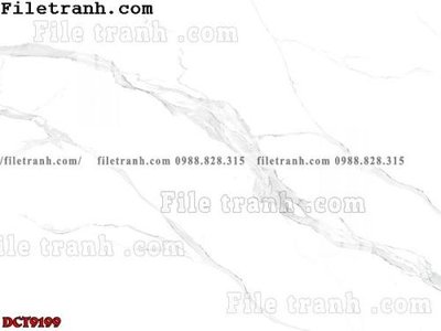 File tranh quảng cáo File in vân đá cẩm thạch DCT9199 (download file gốc)