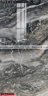 File tranh in tráng gương File in vân đá cẩm thạch DCT9209 (siêu nét)