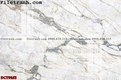 Tải file File in vân đá cẩm thạch DCT9253 (ảnh gốc) in gạch men