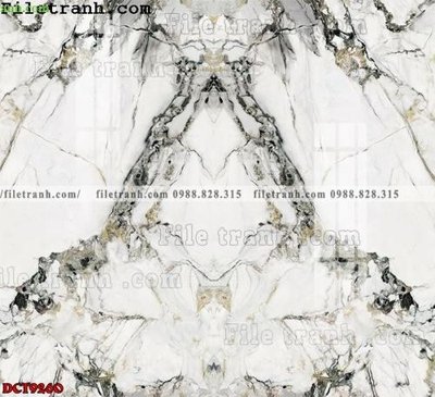 File ảnh File in vân đá cẩm thạch DCT9260 (gốc) in backdrop sự kiện