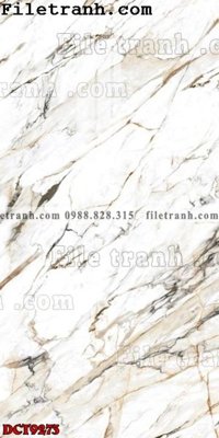 File tranh File in vân đá cẩm thạch DCT9273 (ảnh gốc) in trần 3D