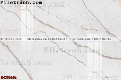 File tranh File in vân đá cẩm thạch DCT9291 (gốc) chủ đề tĩnh vật