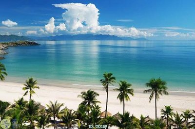 File in mica File gốc đại đương DD167 (bản gốc) siêu trong