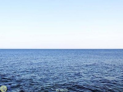 File gốc File gốc đại đương DD172 (PNG) chất lượng cao