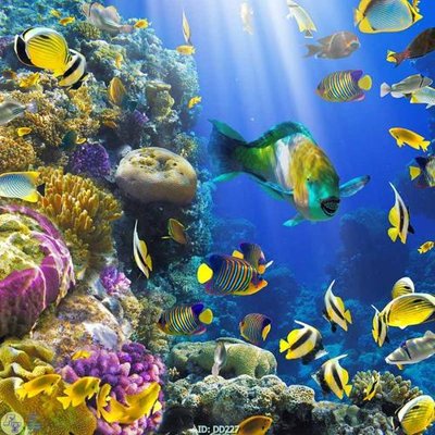 File gốc File gốc đại đương DD227 (trang trí) phòng trẻ em