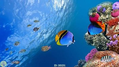 File in mica File gốc đại đương DD231 (bản gốc) làm vách ngăn